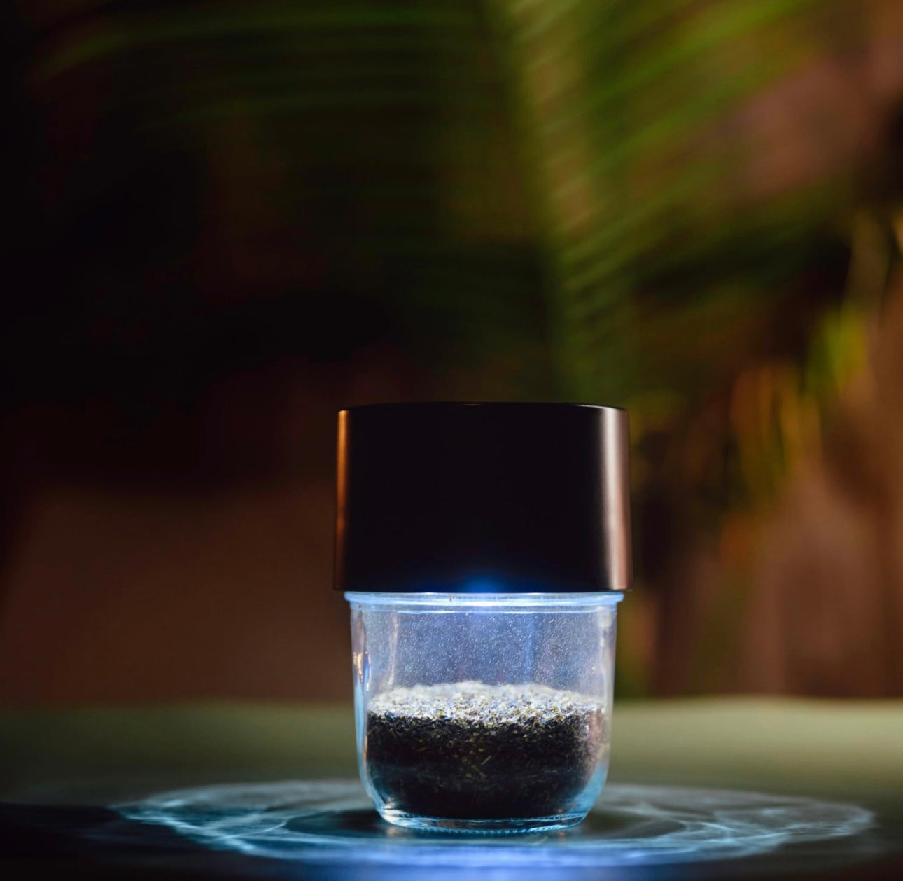 Mason Brite Magnifying Jar Clear